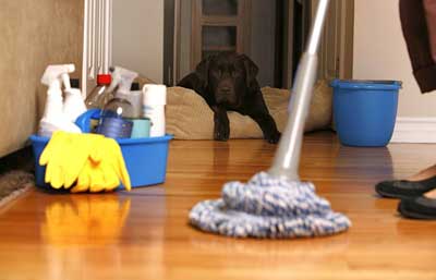 Carpet Cleaning Guidelines - FIND OUT ABOUT Carpet Cleaning Tips 2